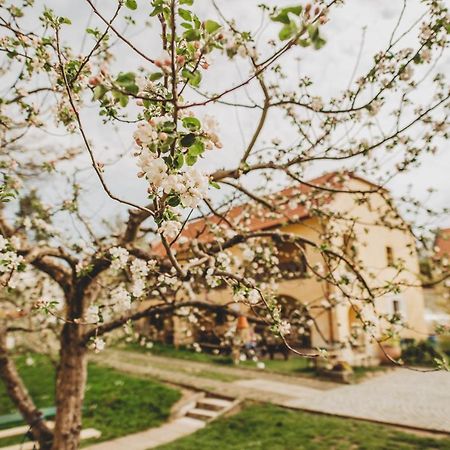 Boutique Apartman Speicher Prag Dış mekan fotoğraf