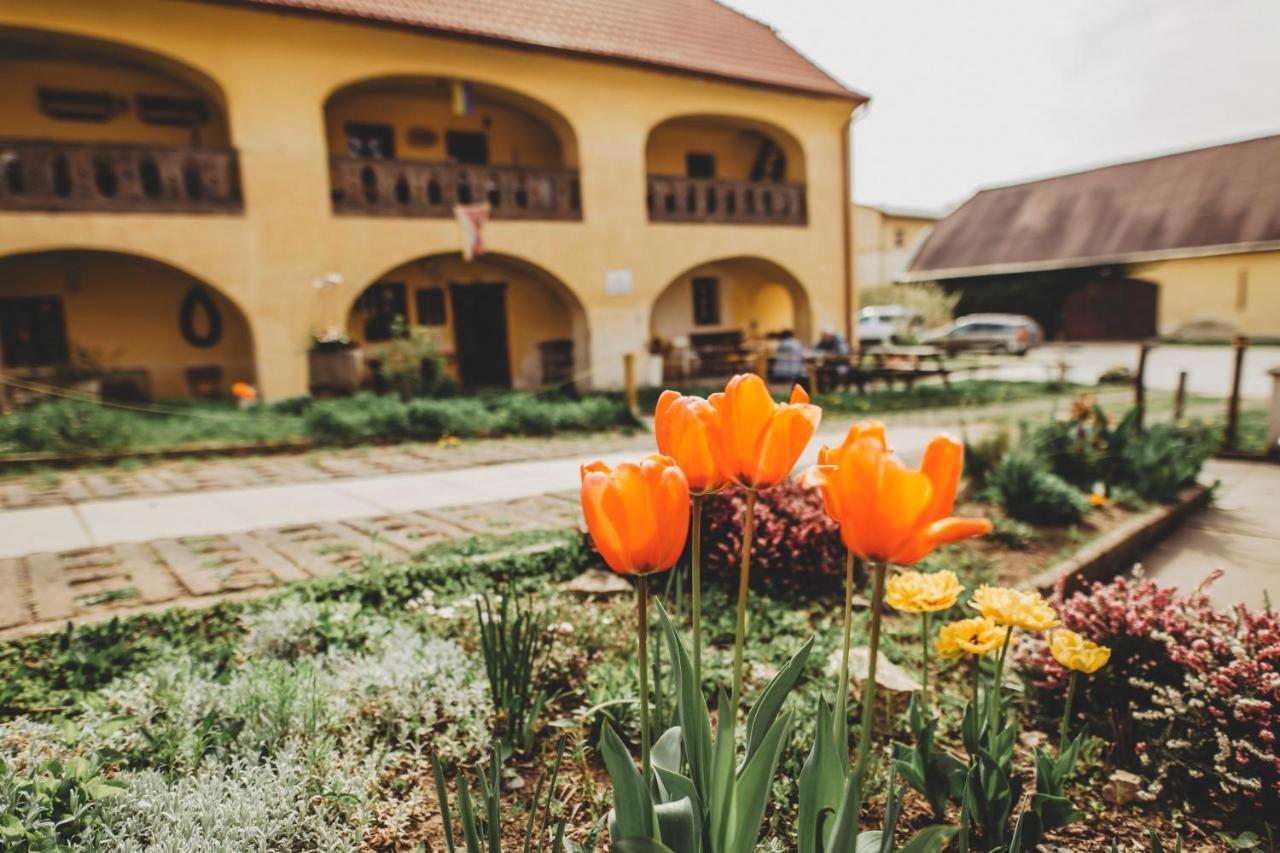 Boutique Apartman Speicher Prag Dış mekan fotoğraf